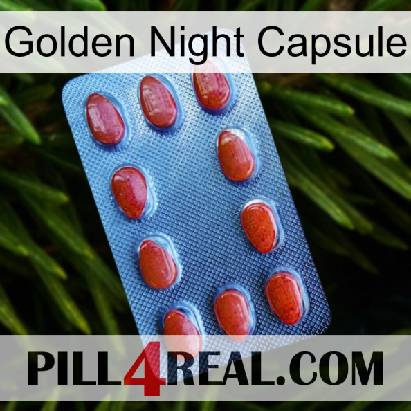 Golden Night Capsule 06.jpg